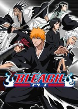 bleach-full-color.jpg